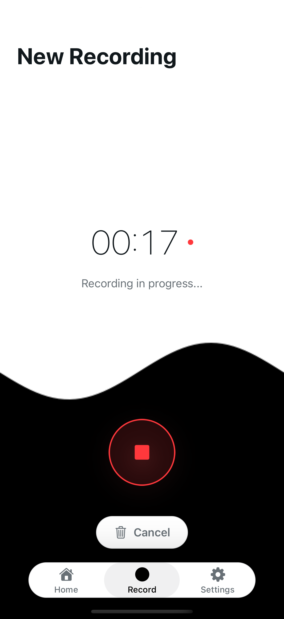 App interface showing voice recording
